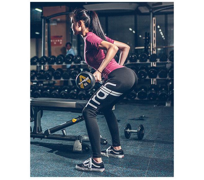 2023年香港资料精准手机app下载